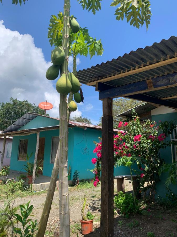 Vila Alba House Puerto Jiménez Exteriér fotografie